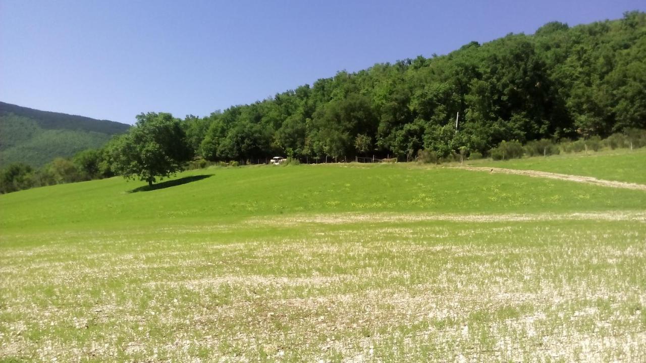 Agriturismo Il Casale Degli Amici Norcia Kültér fotó