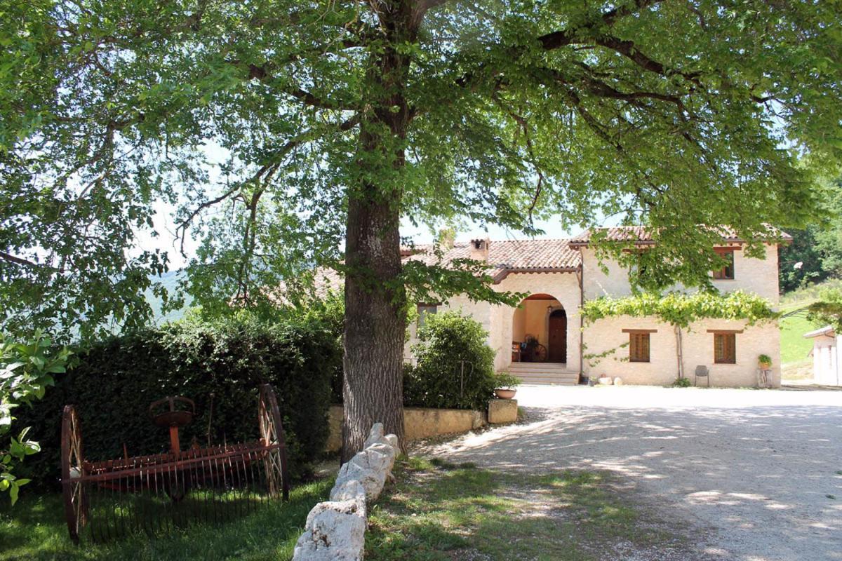 Agriturismo Il Casale Degli Amici Norcia Kültér fotó
